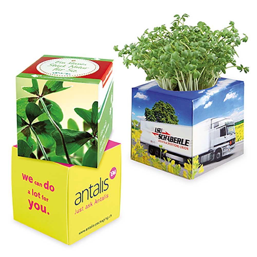 Plant-kubus 2.0 met zaden - individueel