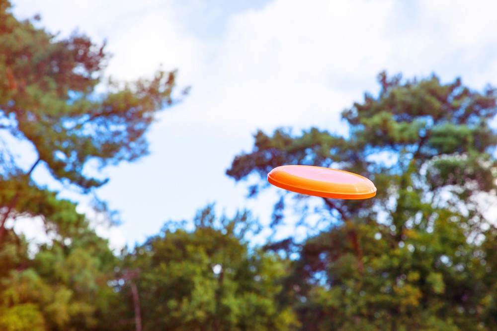 Frisbee Jolie