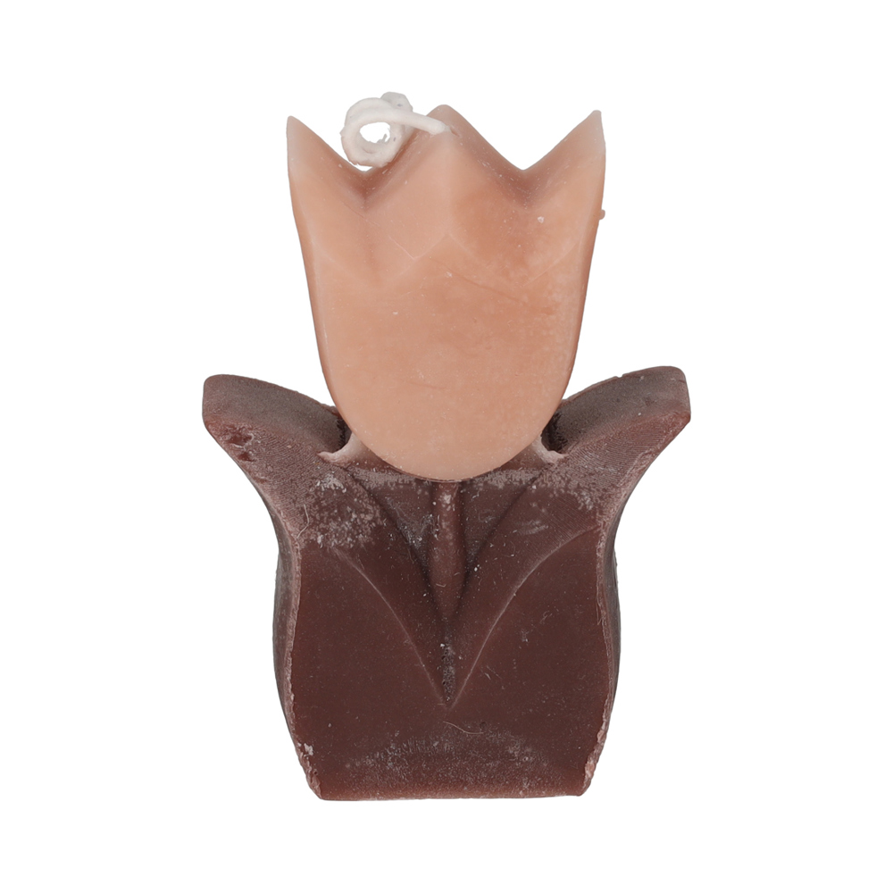 JENS Living Tulp Kaarsen Taupe/Zwart /2