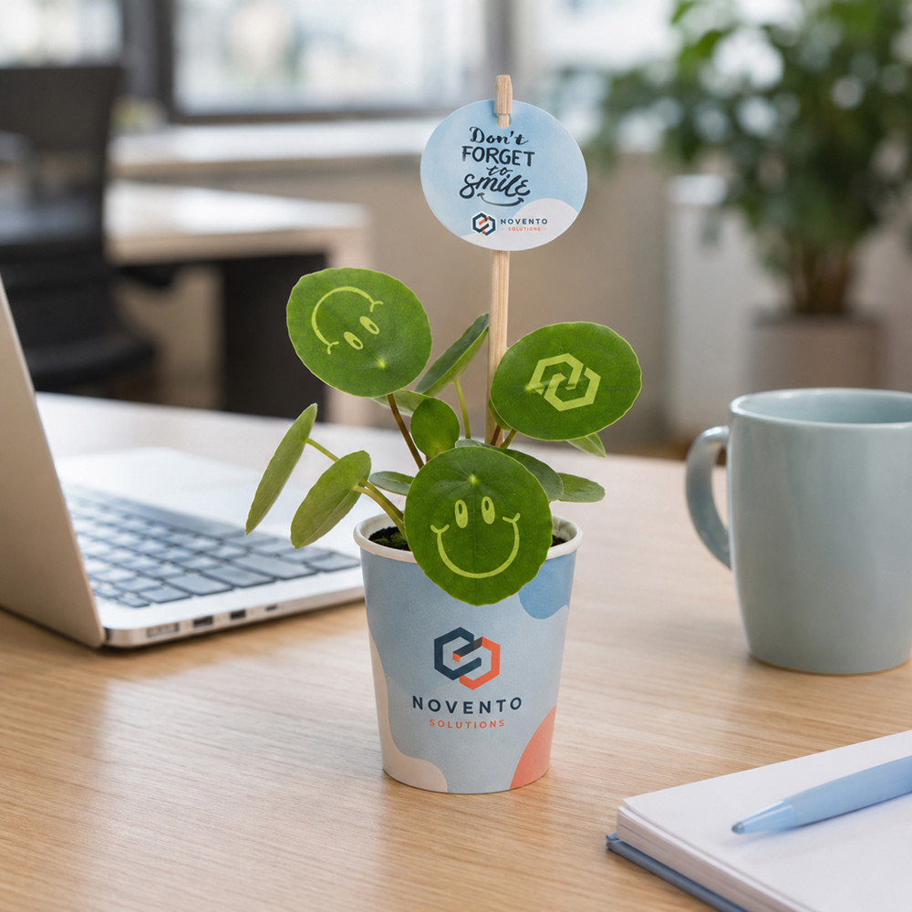 Smylieplant® - Happy in papercup (small), In beschermende plantensleeve