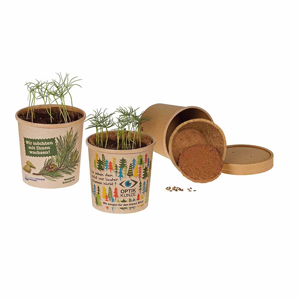 Beker-en-balspel - zaadset