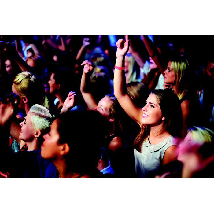  TYVEK - 1 Vel met 10 event armbandjes