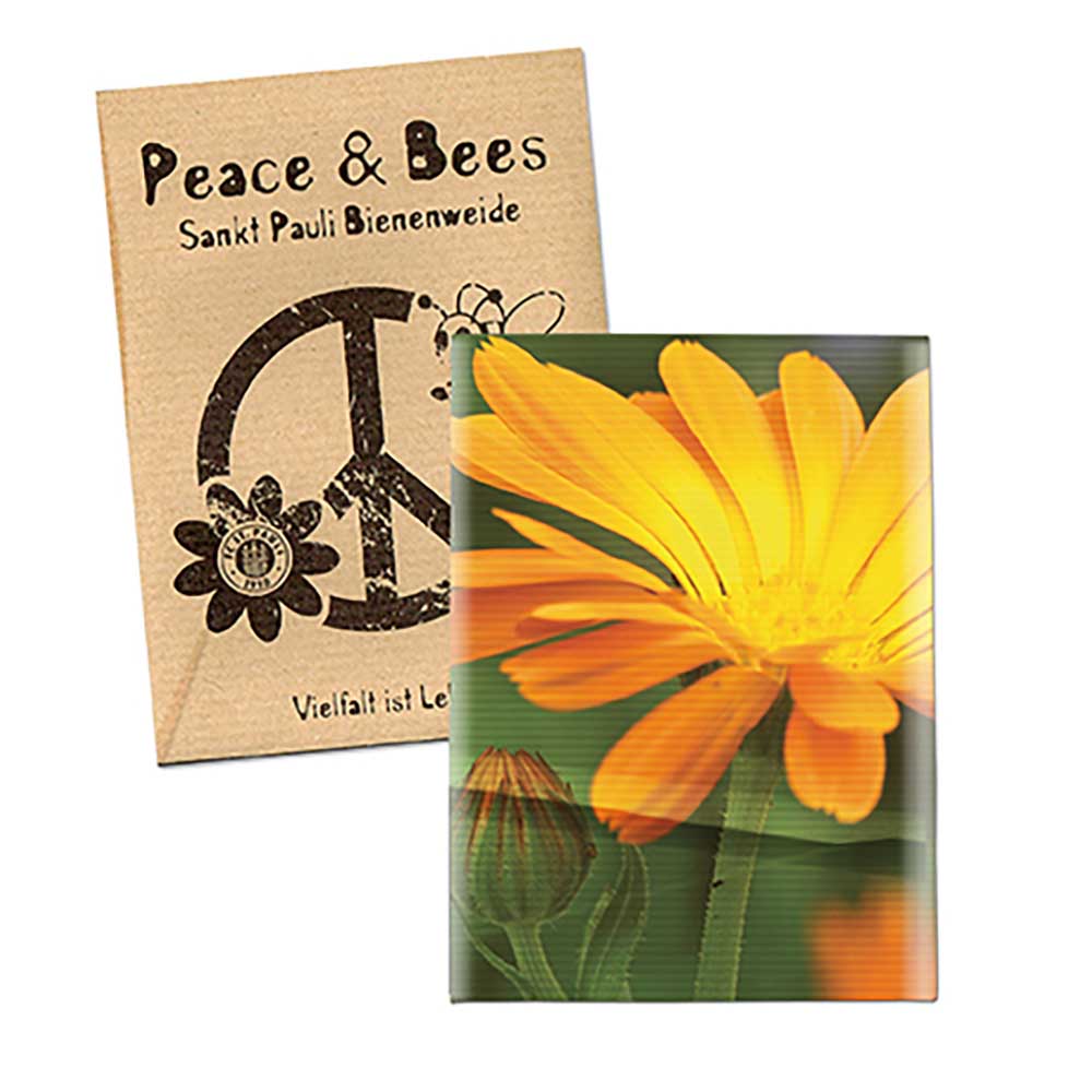 Zaadzakjes mini natronkraft papier - Goudsbloem