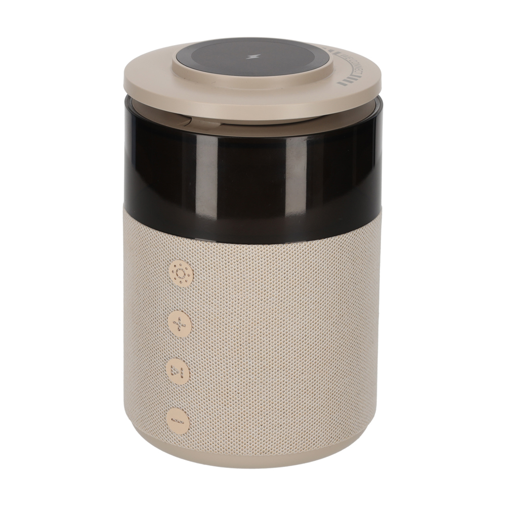 BRAINZ 5 in 1 Charging Speaker - Taupe