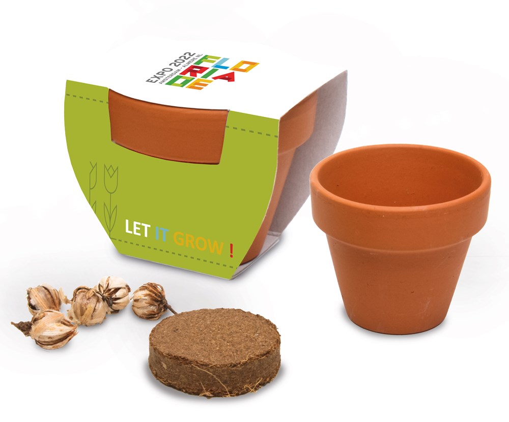 Terracotta pot standaard, Basilicum