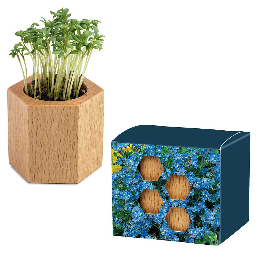 Houten plantenset Hexagon met zaden - individueel