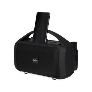 BRAINZ Karaoke Speaker XXL