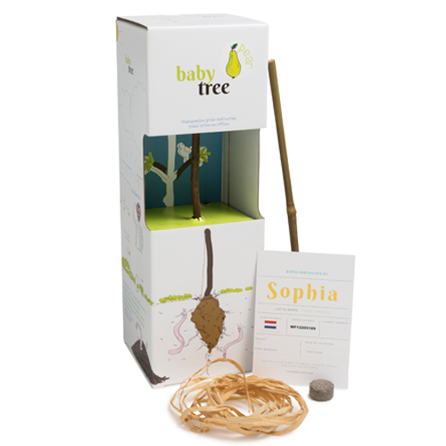 Baby Tree Fruitboompakket