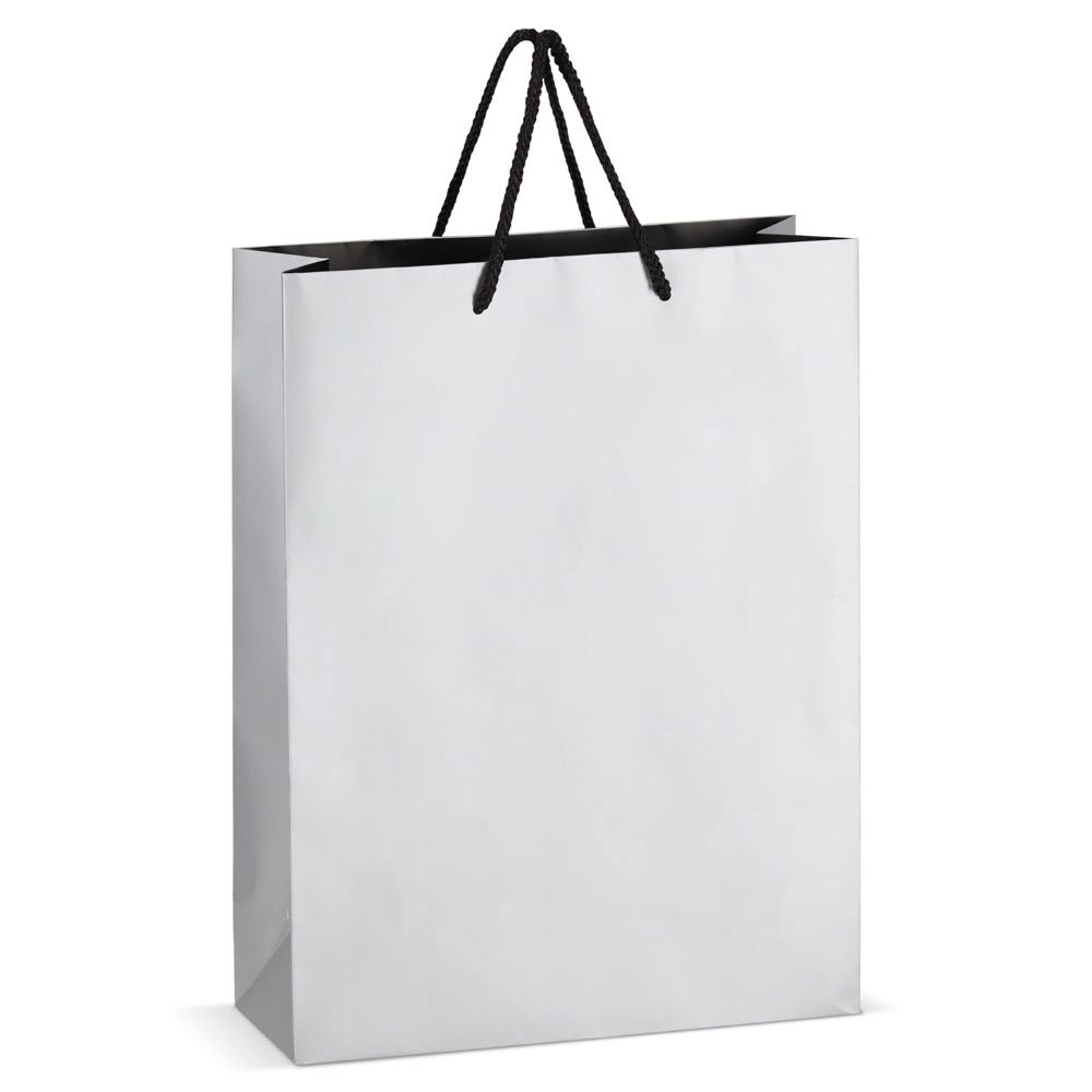 FSC Papieren cadeautas 30 x 12 x 40cm 200g/m² - Zilver