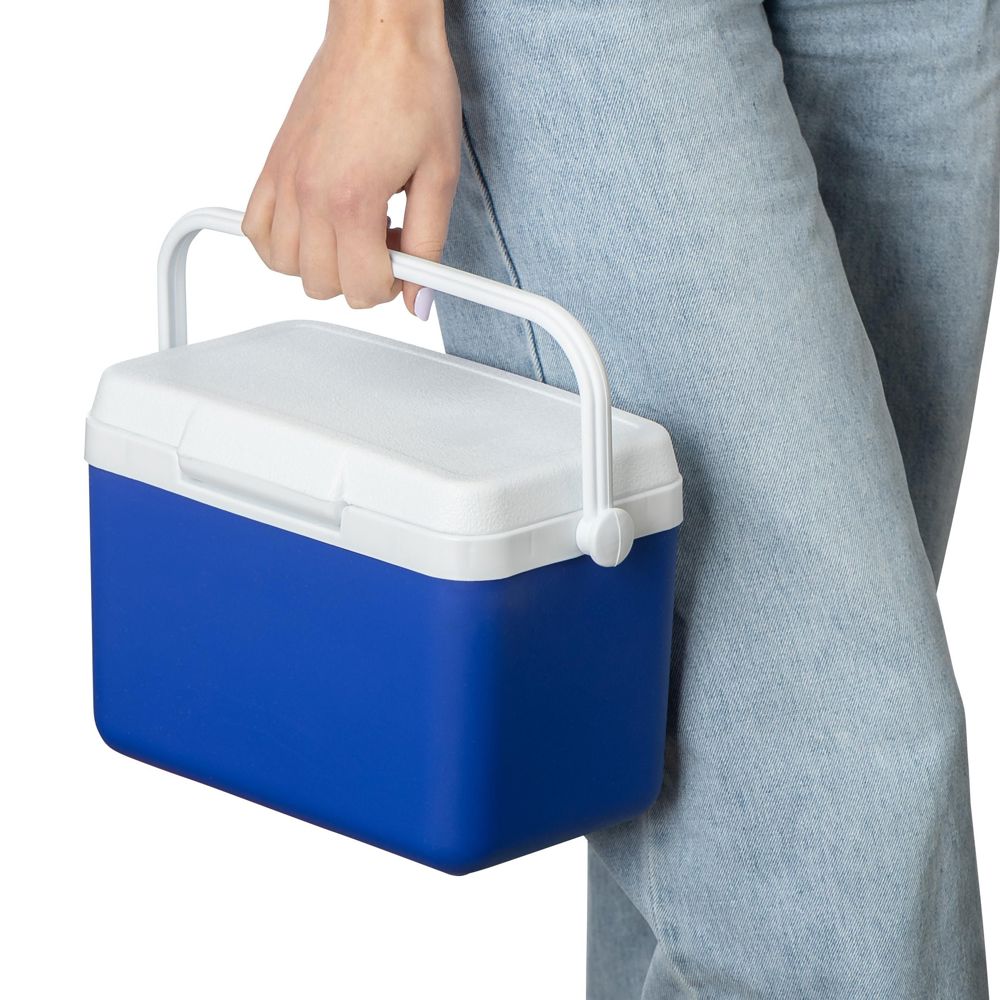 Koelbox 4 liter Sunkissed