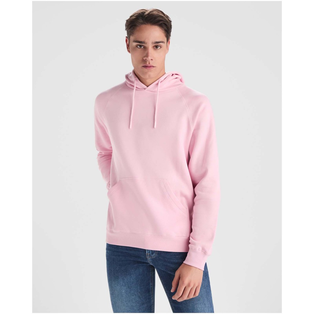 Vinson 300 g/m² biologisch katoenen unisex hoodie