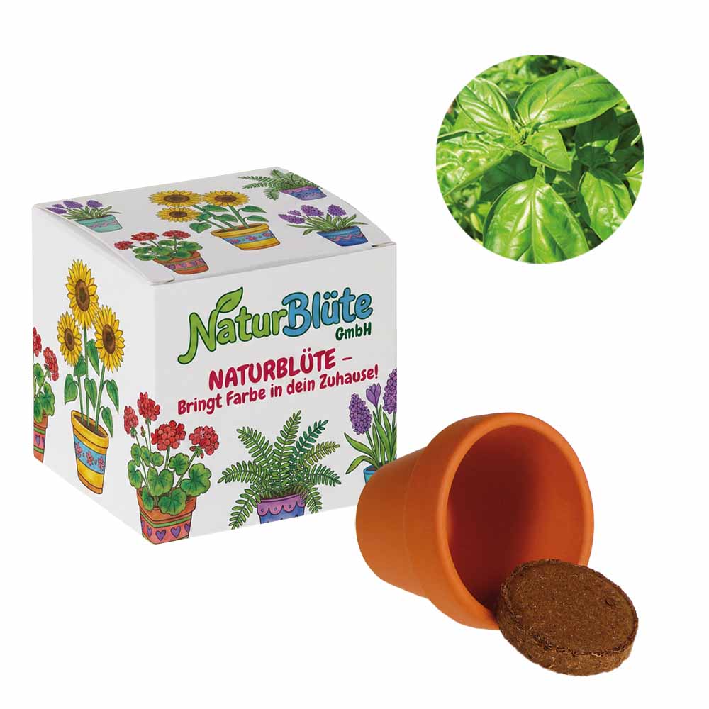 Promotionele zaadkubus (wit papier) - Basilicum