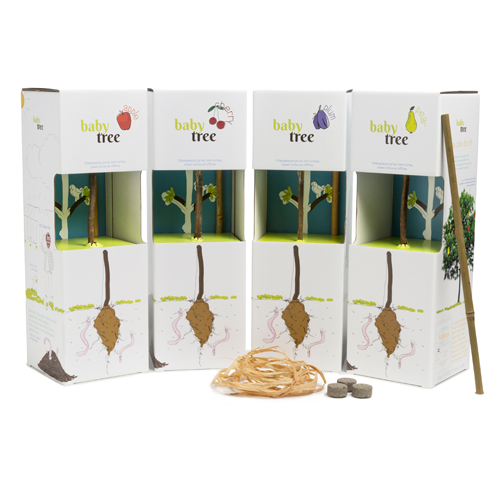 Baby Tree Fruitboompakket