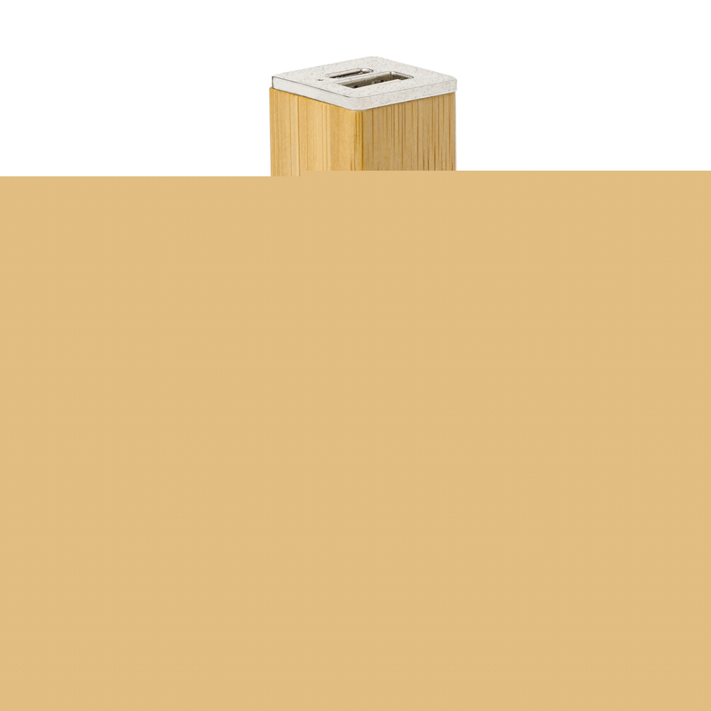 Power Bank Godimer