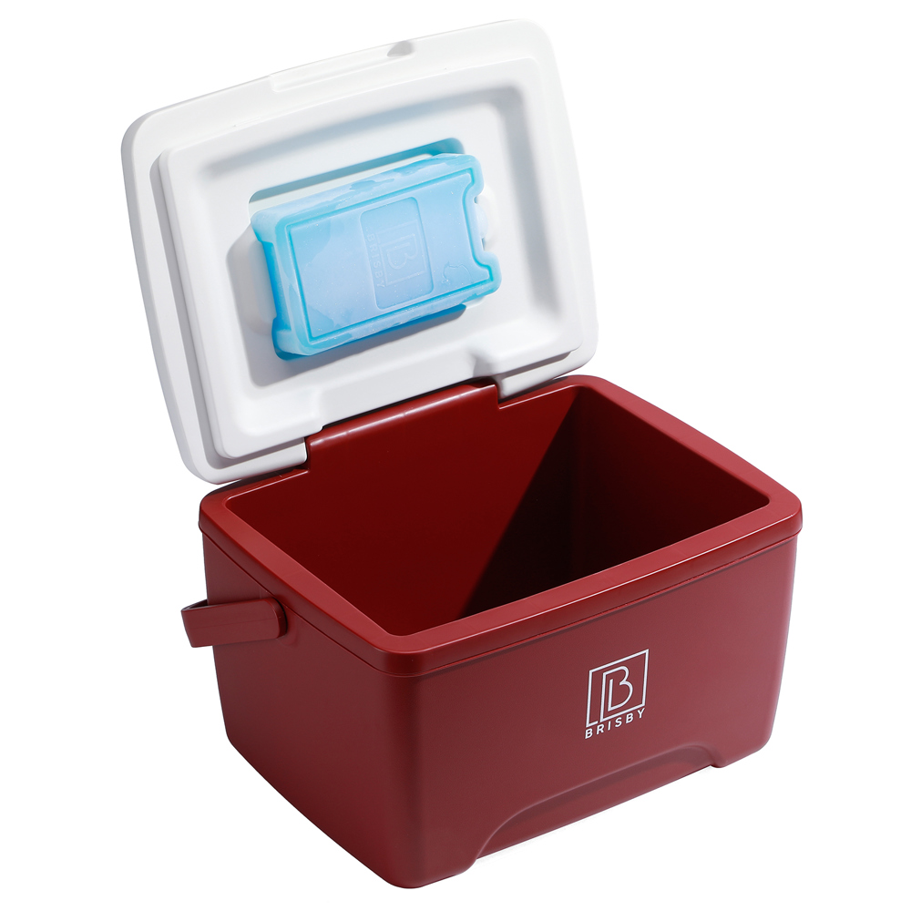 Brisby 8L Koelbox – Innovatief & Personaliseerbaar