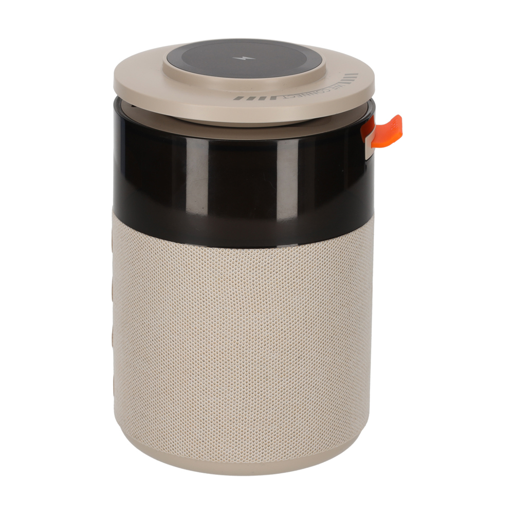BRAINZ 5 in 1 Charging Speaker Taupe