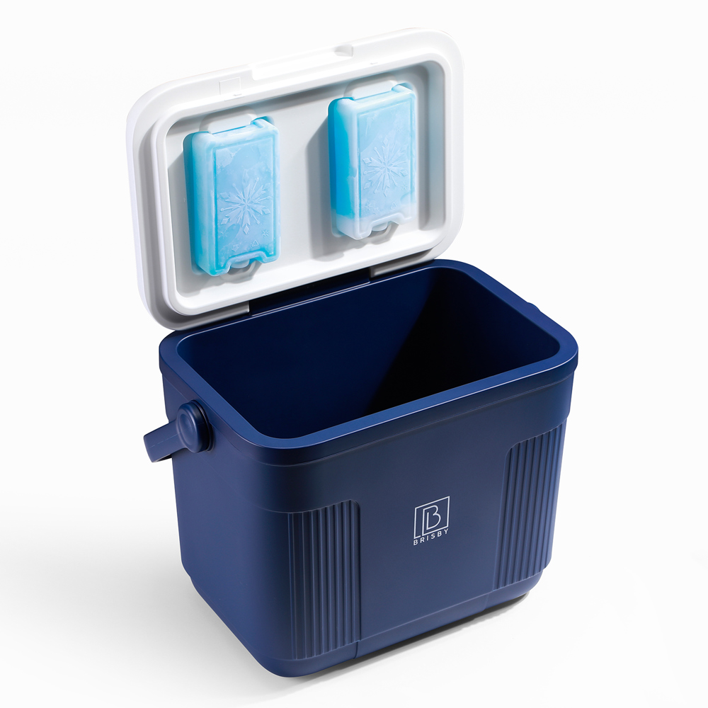 Brisby 22L Koelbox – Innovatief & Personaliseerbaar