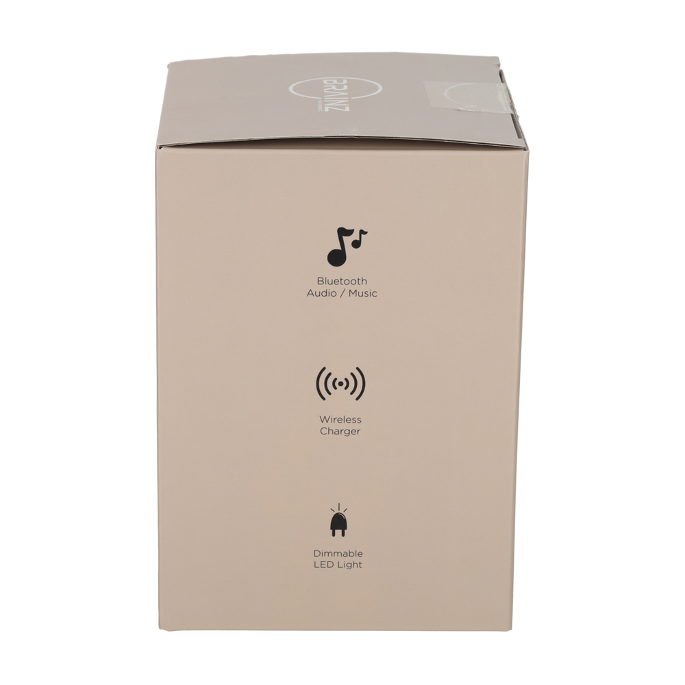 BRAINZ 5 in 1 Charging Speaker Taupe