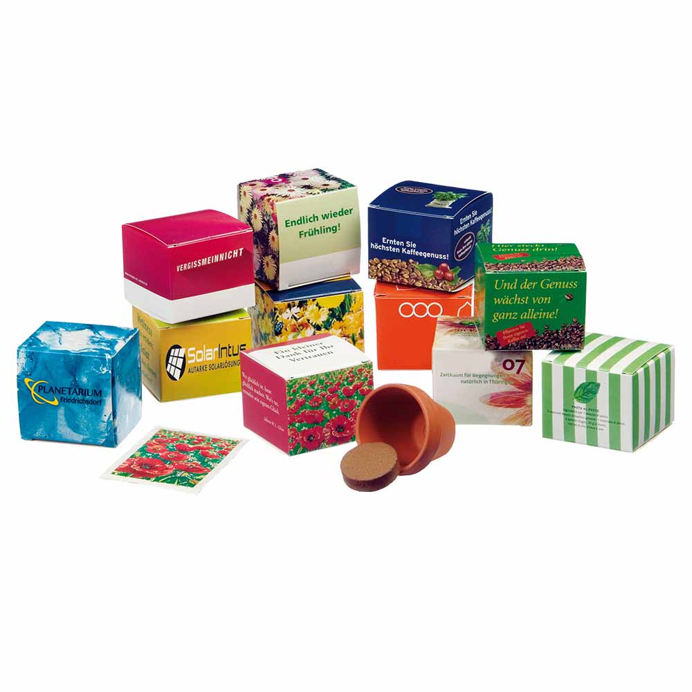 Promotionele zaadkubus (wit papier)