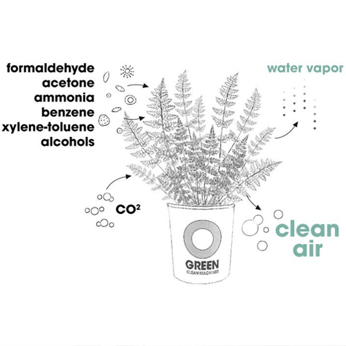 Ogreen clean machine