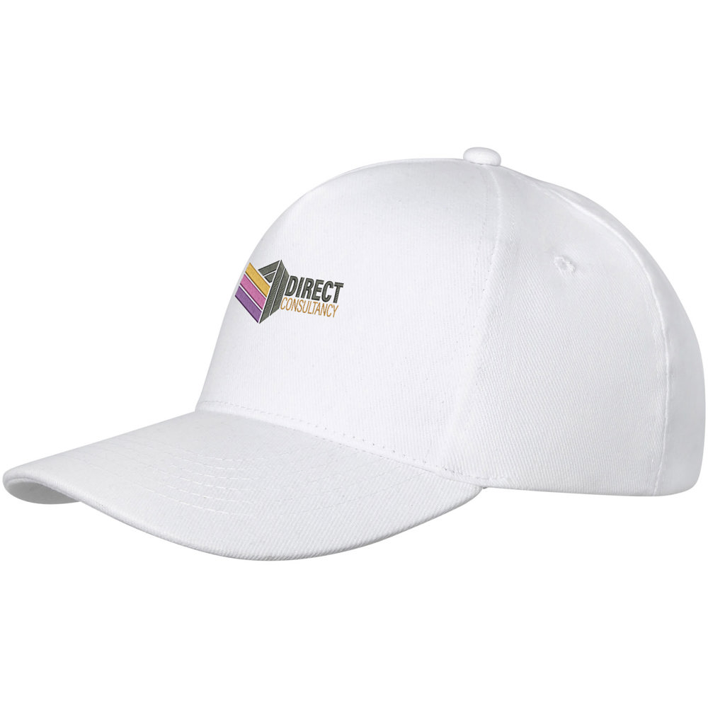 Doyle 260 g/m² 5 panel cap