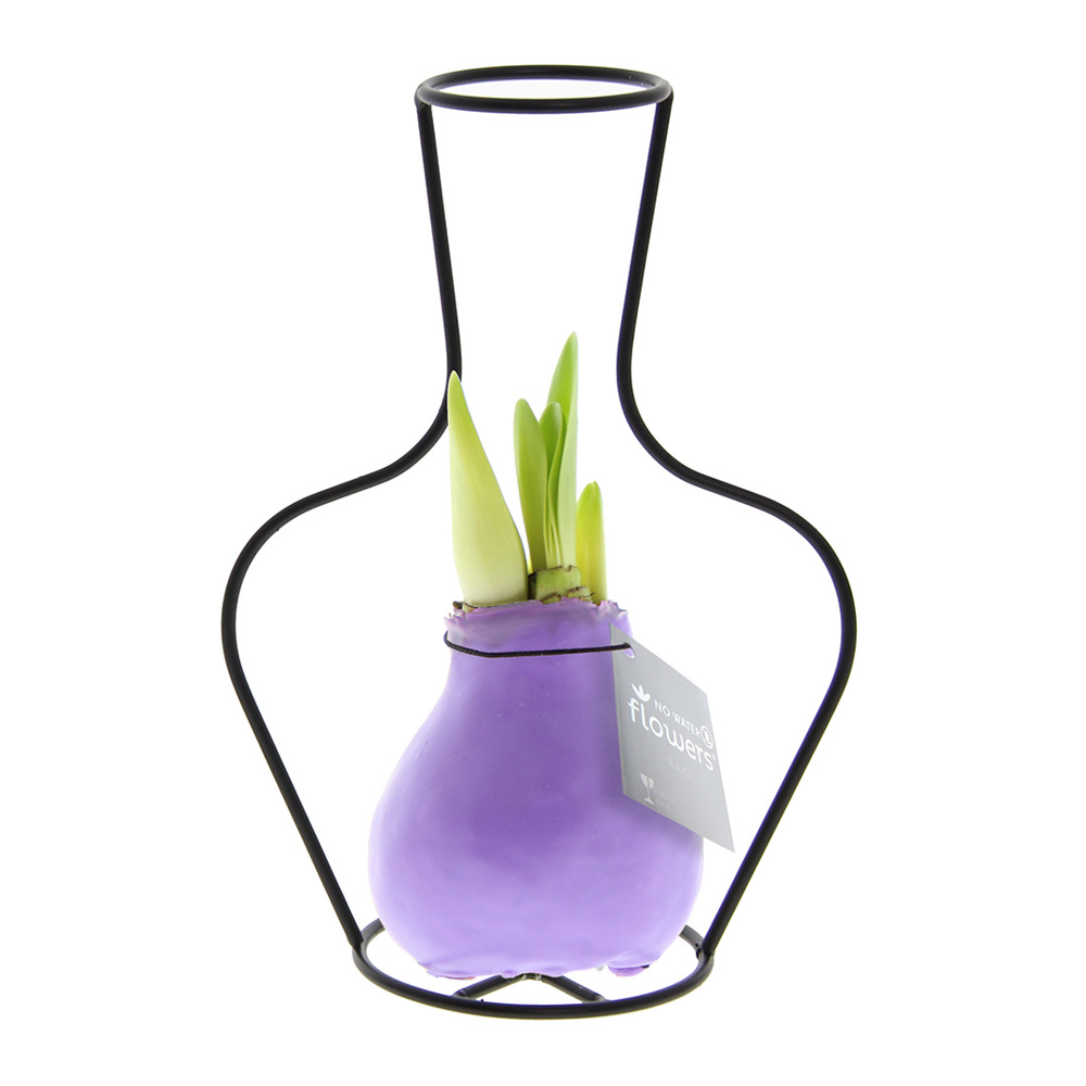 No Water Flowers® - Formz classic, In luxury box, Pastel paars