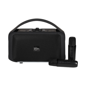 BRAINZ Karaoke Speaker