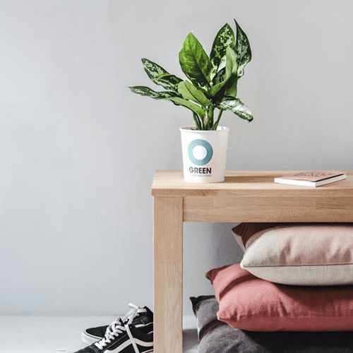 Ogreen clean machine