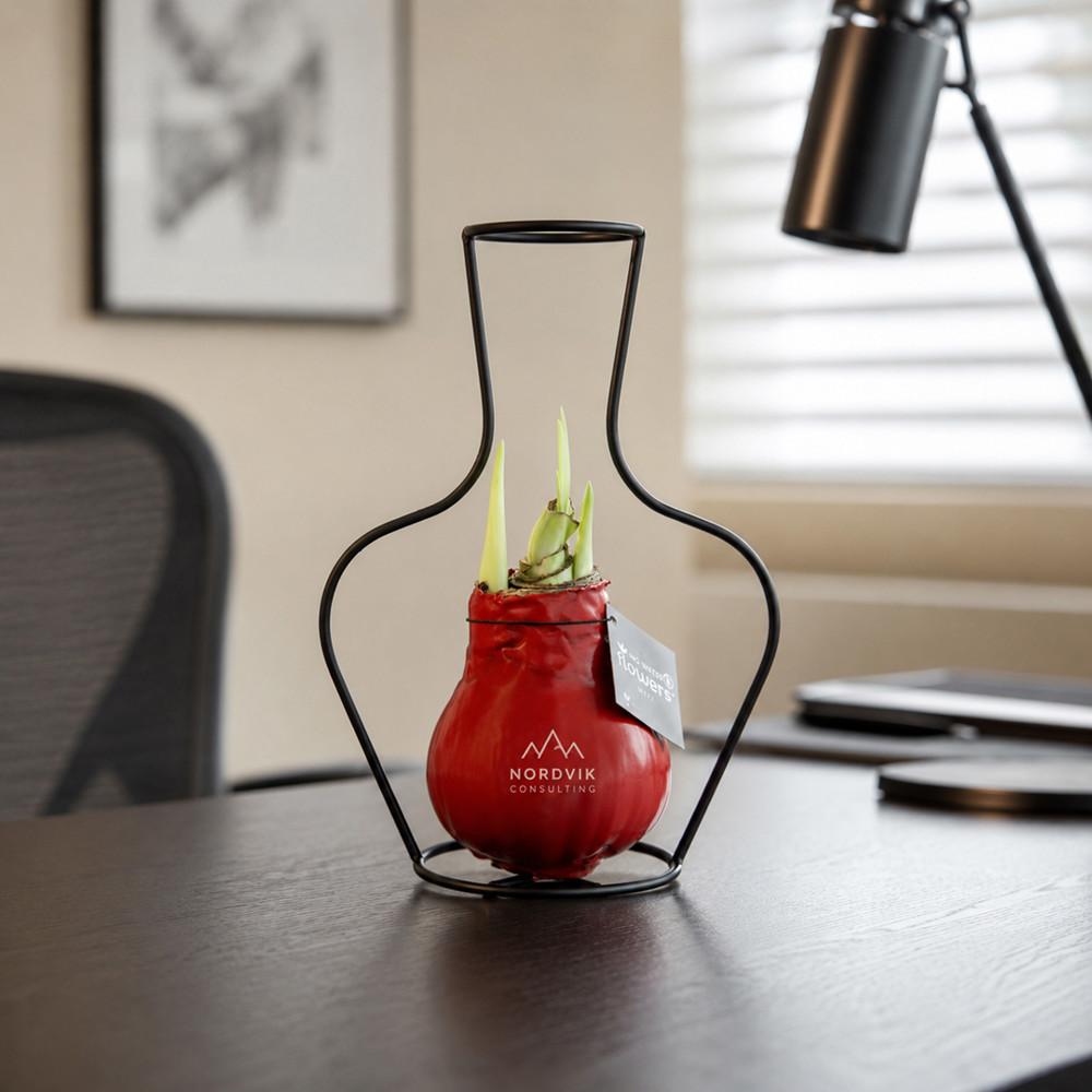No Water Flowers® - Formz classic, Zonder verpakking, Wit