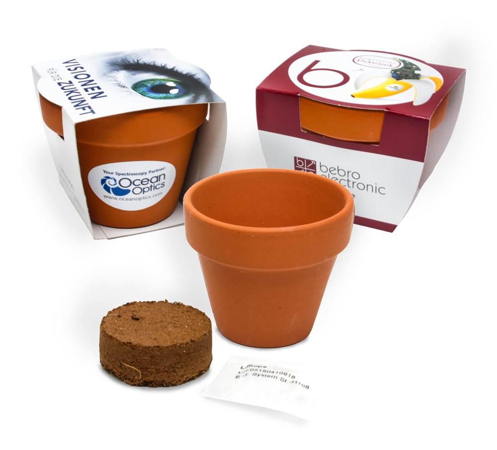 Terracotta pot, Vergeet-mij-niet