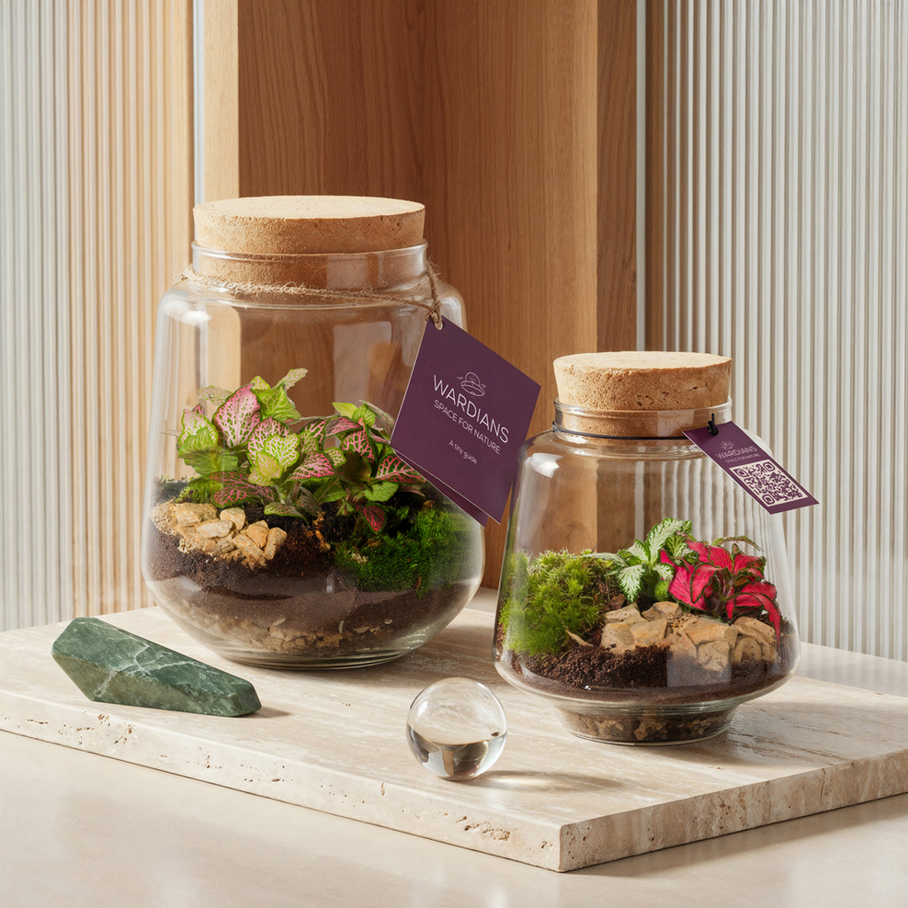 Wardians® Ecosystem - Conical medium, Zonder verpakking