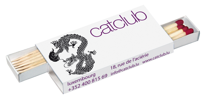 Doosje 7,0 x 3,5 x 0,8 cm met lucifers + tandenstokers