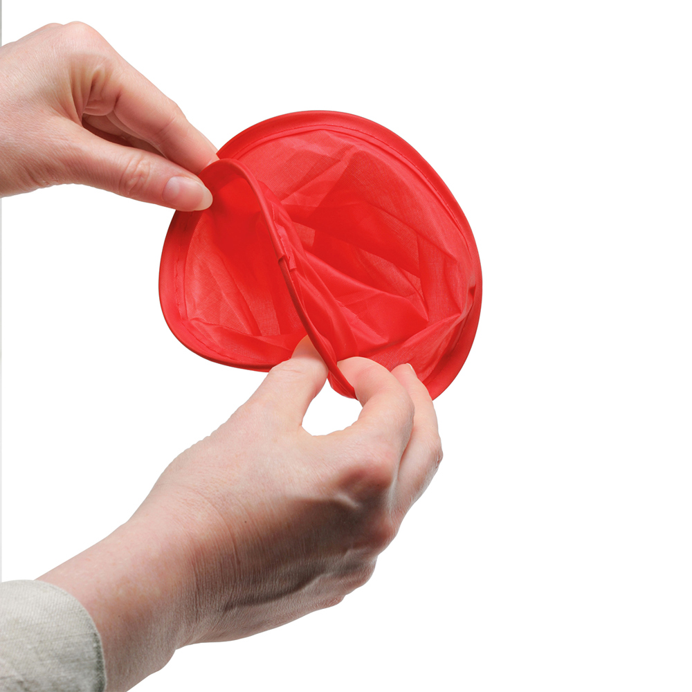 Frisbee