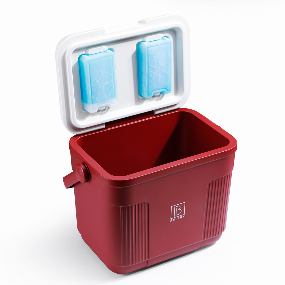 Brisby 22L Koelbox – Innovatief & Personaliseerbaar