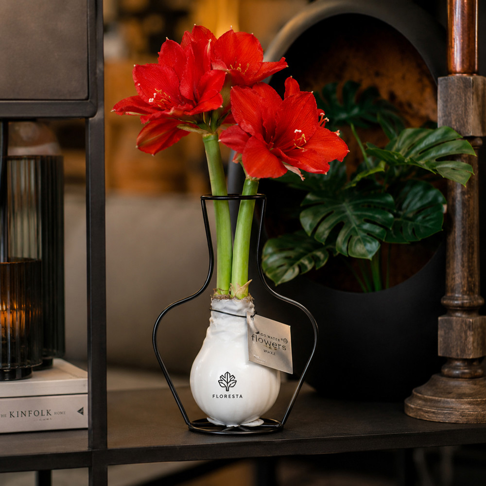 No Water Flowers® - Formz classic, Zonder verpakking, Wit