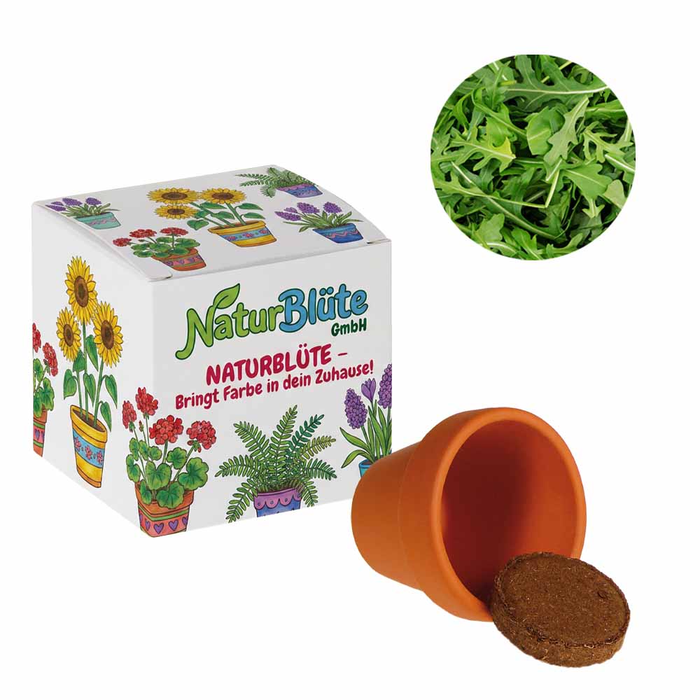 Promotionele zaadkubus (wit papier) - individueel